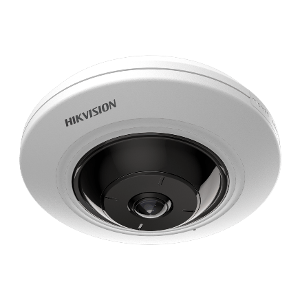 Caméra HIKVISION DS-2CD2955FWD-IS